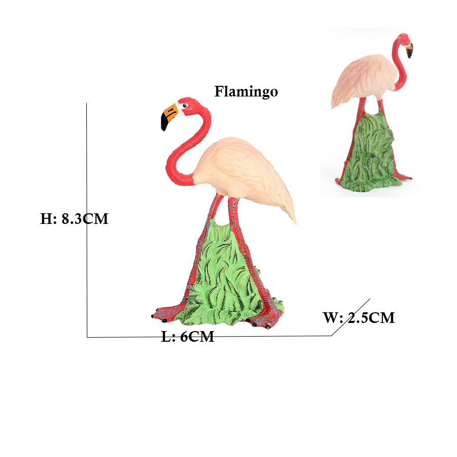 숲 동물 플라밍고 터키 Seahawk Tucan 키위  - Kids Toys Under 1 Year 리뷰 및 가격