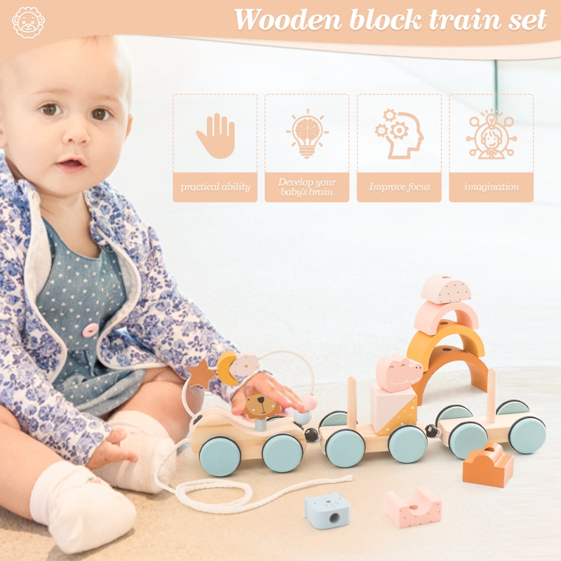나무 몬테소리 장난감 동물 블록 기차 빌딩 블록 쌓기  - Kids Toys 2 Year Old 리뷰 및 가격