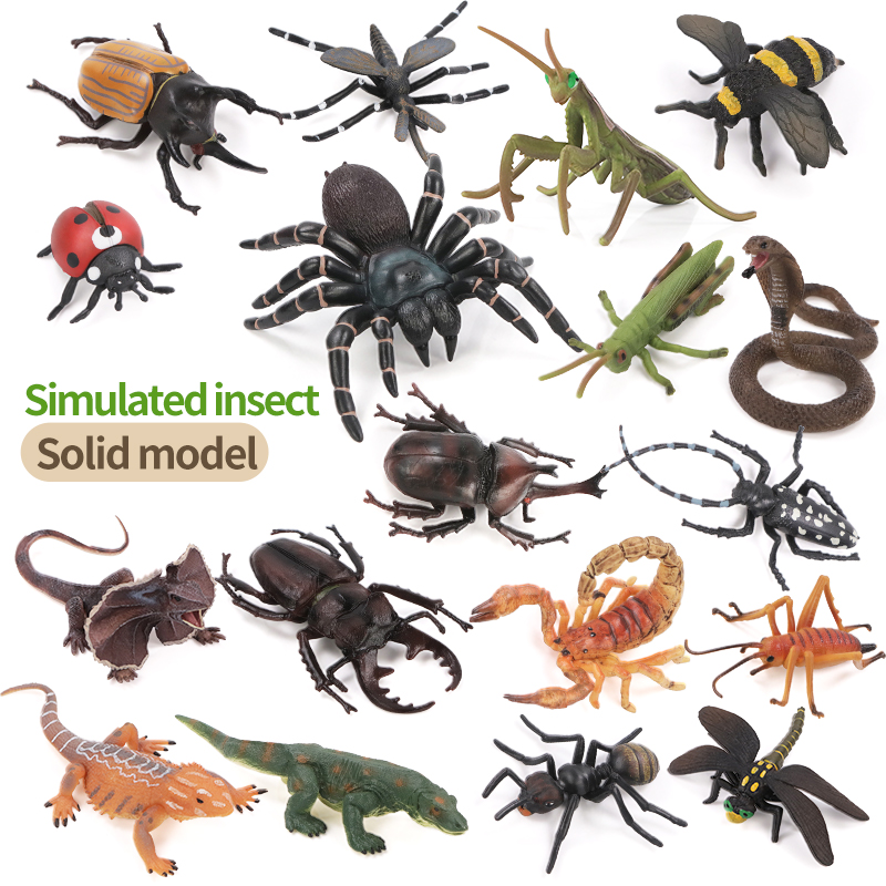 교육용 시뮬레이션 곤충 및 야생 동물 액션 피규어 세트 - Kids Toys Brands 리뷰 및 가격